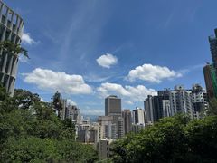 -香港大学