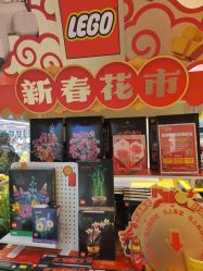 -乐高授权专卖店(朝阳大悦城店)