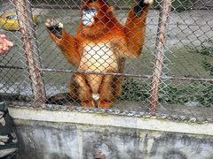 -哈尔滨北方森林动物园