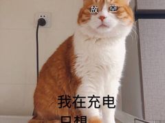 -MusicLife音乐(浦东校区)