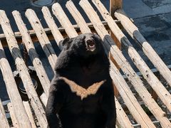 -大连森林动物园