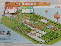-前小桔亲子创意农场·草莓采摘·露营烧烤