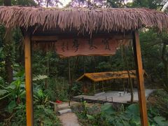 -广州市帽峰山景区