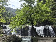 -刘伯温故里景区百丈漈