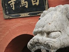 -洛阳白马寺