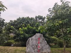 -蔡家宅
