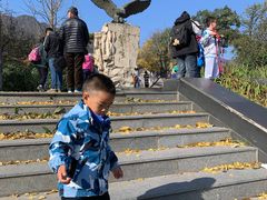 -北京鹫峰国家森林公园