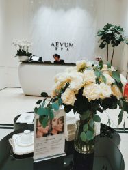 -奥斯芬欧系贵族SPA