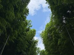 -黄公望隐居地