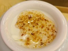 自制桂花酸奶-同和居(什刹海店)