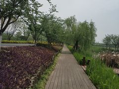 -长田漾湿地公园