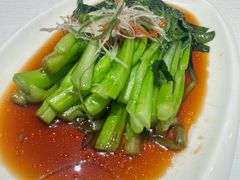 -新疆兵团食府清真(马连道店)