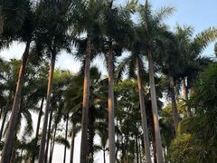 -南宁南湖公园