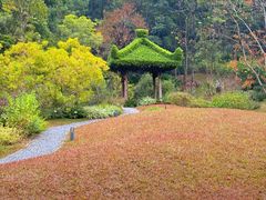 -云溪植物园