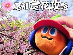 -嘉定紫藤园