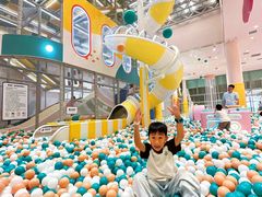 -野狸岛