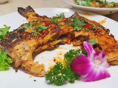 -鸭绿江海鲜烧烤大排档(杏林街店)