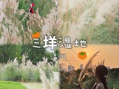 -林坑古村落