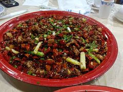 -东吴霸王兔(松青路店)