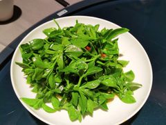 炝拌田七苗-徐记海鲜(汉城湖|太奥店)