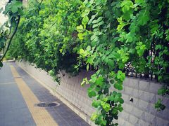 景观位-东方饺子王(大屯路店)