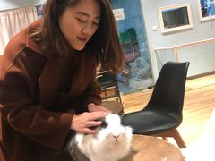 -藦茜花园宠物主题亲子互动体验馆(国顺东路店)