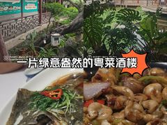 -东江渔村·古典园林·30年粤菜老字号(太和店)