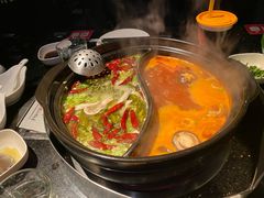 青花椒猪肚番茄鸳鸯锅-捞王锅物料理(凯旋路店)