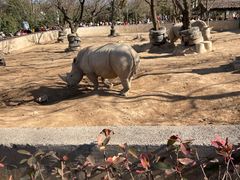 -西安秦岭野生动物园