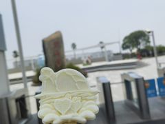 -碧海金沙