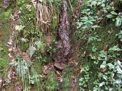-丹山赤水风景名胜区