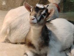 -酷嗒动物文化乐园(cutezoo西溪乐天城店)