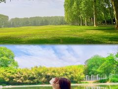 -河南省黄河迎宾馆