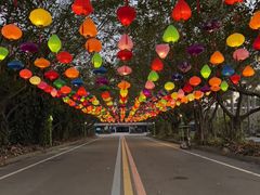 -东南花都花博园