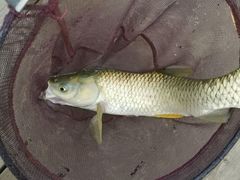 -酷鱼垂钓CLUB(朝阳区博大路店 )