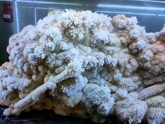 -湖南省地质博物馆