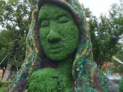 -苏州乐园森林水世界