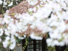 -中国茶叶博物馆(双峰馆区)