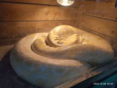 -鄂尔多斯野生动物园