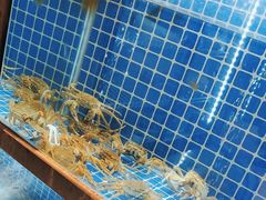 水产区-宏玲餐厅(四川南路店)