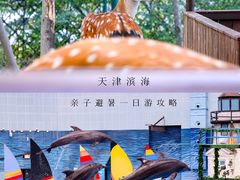 -海合安天津极地海洋公园