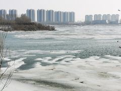 -沈阳鸟岛