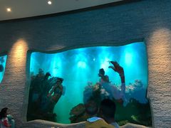 -瑞德姆美人鱼海底演艺主题餐厅(亚龙湾店)