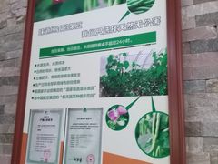 -金豆角砂锅焖面(安贞店)