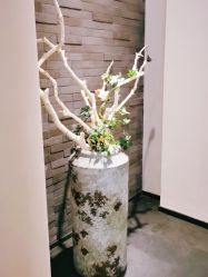 -盘子女人坊古装写真摄影(天津总店)