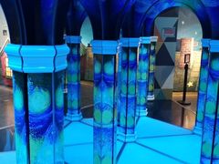 -天津梵高星空艺术馆(天河城旗舰店)