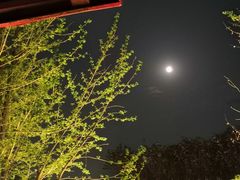 -宁夏国强手抓羊肉·清真菜(未央路凤三店)