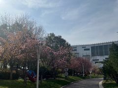 -灞河西岸滨河公园