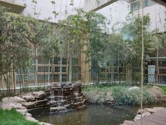 -北京德尔康尼骨科医院