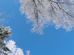 -雪谷